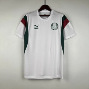 23-24 Palmeiras Special Fans Jersey