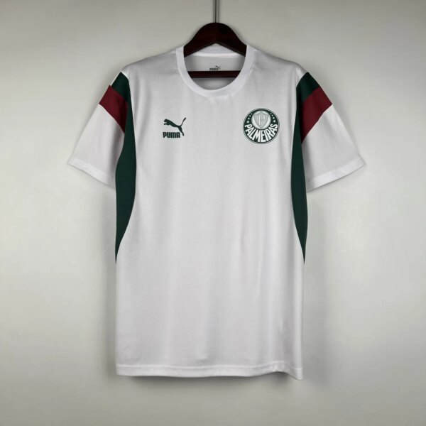 23-24 Palmeiras Special Fans Jersey