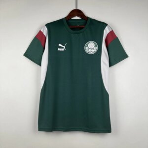 23-24 Palmeiras Special Fans Jersey