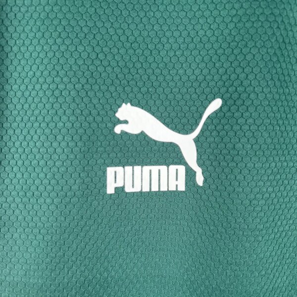 23-24 Palmeiras Special Fans Jersey - Image 2