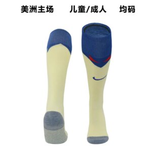 23-24 America Home Socks