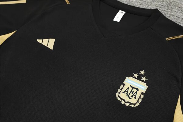 23-24 Argentina Training Short Sleeve Suit - Image 6