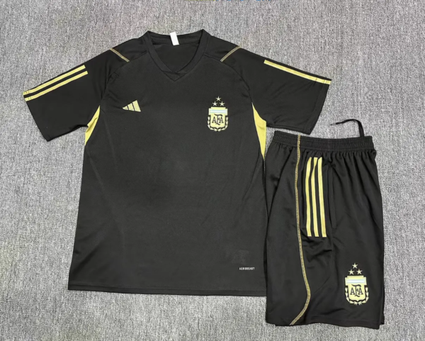 23-24 Argentina Training Short Sleeve Suit - Image 4