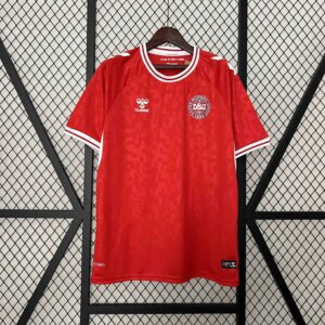 2024 Denmark Home Fans  Jersey