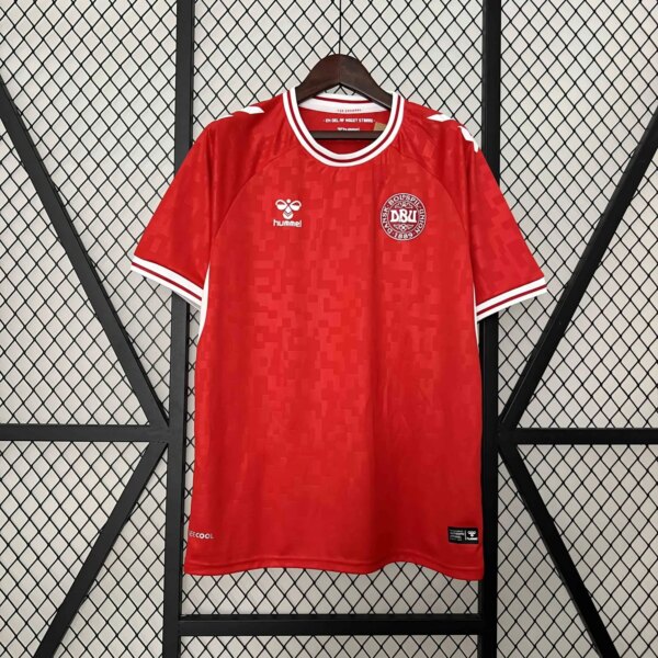 2024 Denmark Home Fans  Jersey