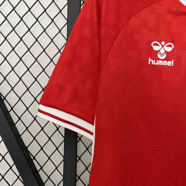 2024 Denmark Home Fans  Jersey - Image 2