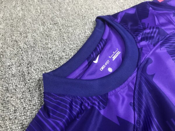 23-24 Sanfrecce Hiroshima Home Fans Jersey - Image 2