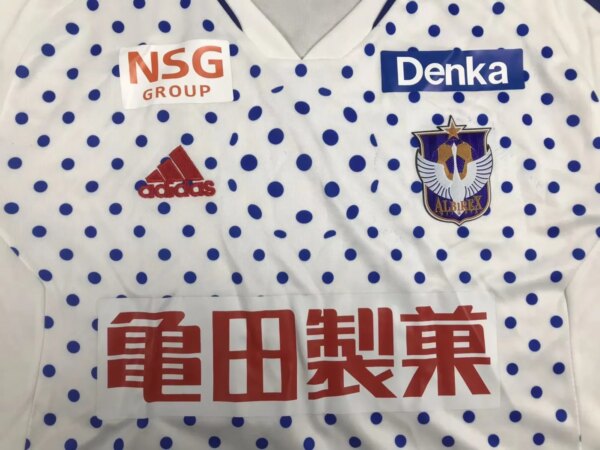 23-24 Albirex Niigata Away Fans Jersey - Image 2