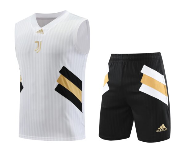 23-24 Juventus Training Vest Suit