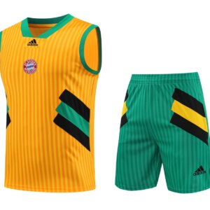 23-24 Bayern Munich Training Vest Suit
