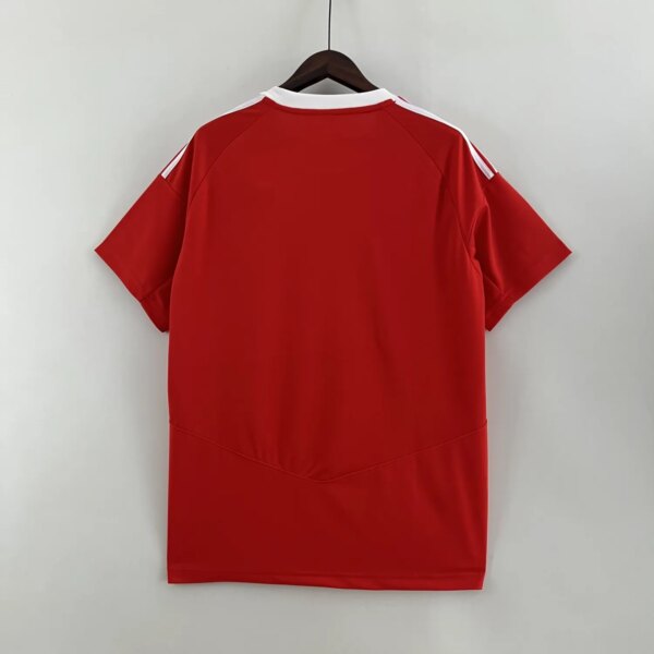 23-24 Real Murcia Home Fans Jersey - Image 5