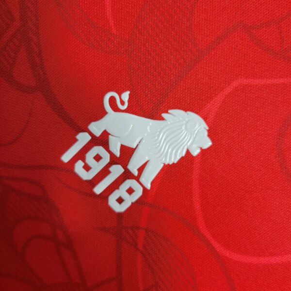 23-24 Fortaleza Home Copa do Nordeste Fans Jersey - Image 2
