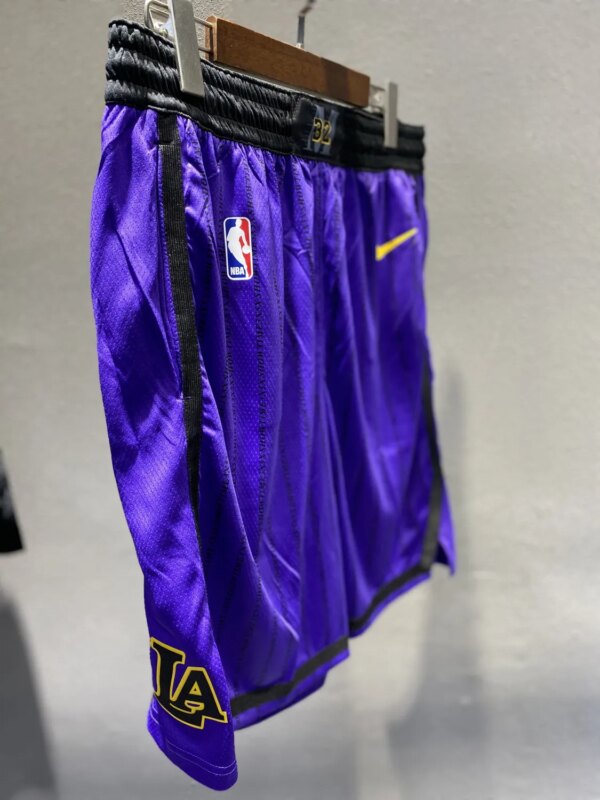 Lakers Violet with Lines Retro Round Neck Hot Pressed Jersey - Image 3