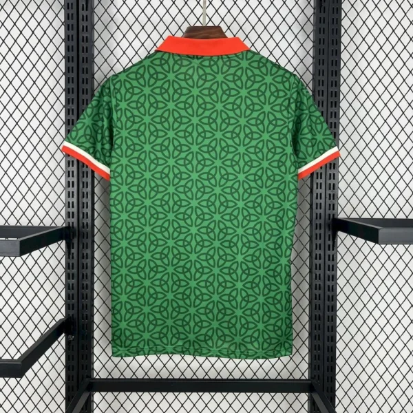 Ireland Home Fans Kit 2025 - Image 4