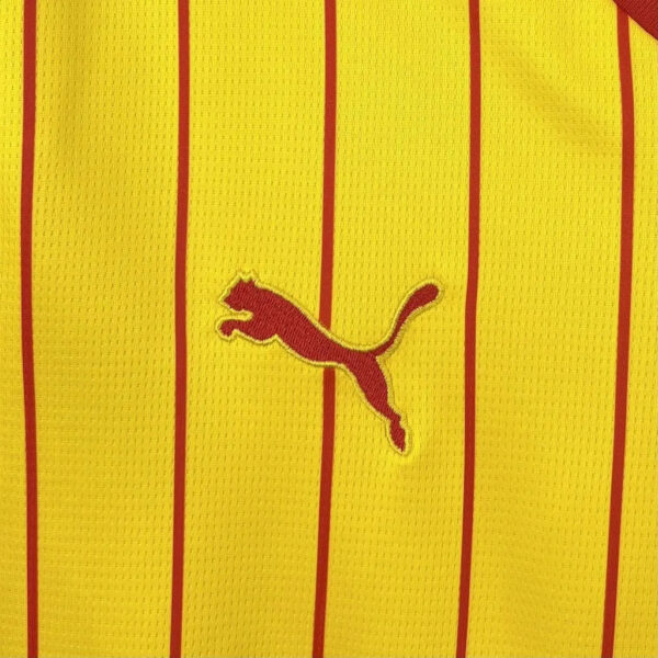 25-26 RC Lens Home Fans Kit - Image 5