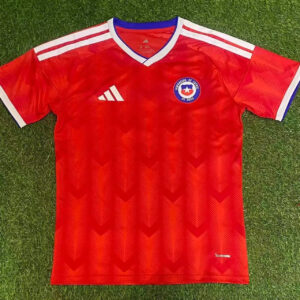 2025 Chile Home Fans Kit